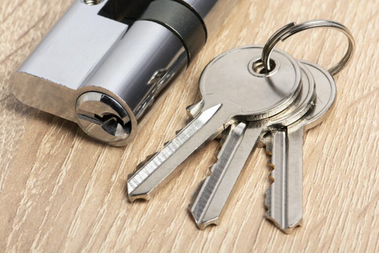 Key cylinder with keys